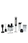 Roboset BL 1000 Mutfak Robotu & Blender Seti | Smoothie Blender & Patates Püre Aparatı resmi